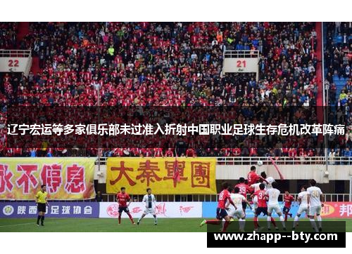 辽宁宏运等多家俱乐部未过准入折射中国职业足球生存危机改革阵痛 辽宁宏运等多家俱乐部未过准入折射中国职业足球生存危机改革阵痛