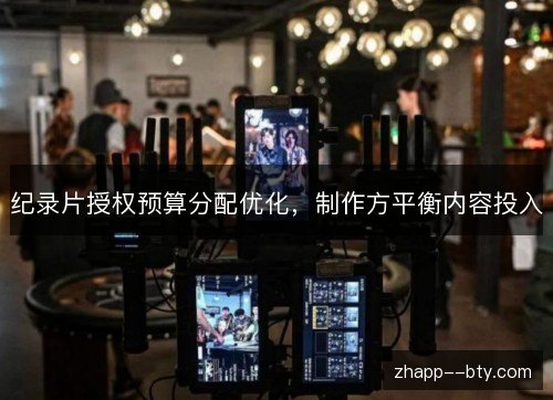 纪录片授权预算分配优化，制作方平衡内容投入